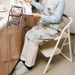 �X�e�b�v�`�F�A 2�i