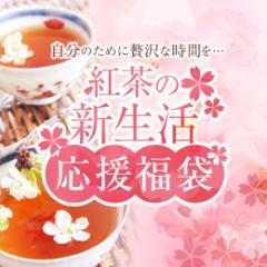 【澤井珈琲】紅茶の新生活応援福袋（HARIOワンカップ ティーメーカー/ダージリン/スコーン/桜の紅茶/ハリオ）※冷凍便不可