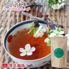 �y�V������z�ق���ƗD��������Y��������̍g�� ���[�t�e�B�[40g �l�ߑւ��p