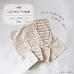 �x�r�[�p�i �n���J�` �Ԃ���� �I�[�K�j�b�N�R�b�g�� �� 6���Z�b�g �{�[�_�[ �܂Ƃߔ��� �c�� SHOT �V���b�g