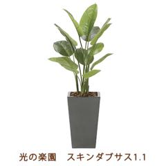 �����̊y�� (2239K360-30) �X�L���_�u�T�X 1.1 �������� 99465