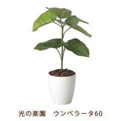 �����̊y�� (2292K80-55) �E���x���[�^ 60 �������� 99475