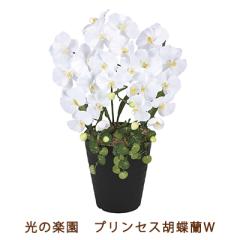 �����̊y�� (2266K60-80) �v�����Z�X �Ӓ��� W �������� 99520