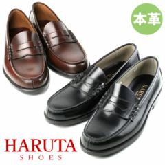 HARUTA yTCYOKz n^ [t@[ Y 906 {v ʊw w ʋ  C 3E RC[t@[  ubN _[NuE 