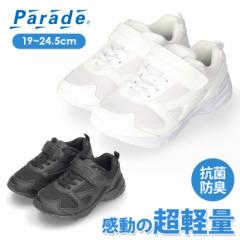 ^C Xj[J[ LbY WjA q    8010 Parade p[h xN ʊw wZ 㗚  tH[} 