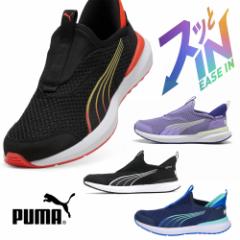 v[} LbY WjA Xj[J[ j̎q ̎q Xb|  PUMA N[Y vtH[ C[YC 397633 q C ₷ N