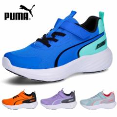 v[} Xj[J[ LbY Xs[hX^[ V5 309935 ^C ʊw xN u[ IW p[v ^[RCY PUMA WjA