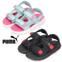 PUMA LbY v[} G{u T_ 389147 01 ubN 09 ^[RCY X|[cT_ j̎q ̎q bV ʋC y xN
