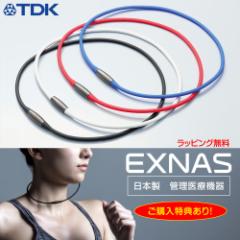 TDK EXNAS GNiX D1i50cm^42cmjClbNX y ƒp iv CÊ 160mT   R sP {  C