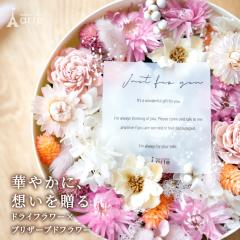 �h���C�t�����[ �v���U�[�u�h�t�����[ �M�t�g �A�����W �{�b�N�X ������ �����j�� �J�X�j�� �V�z�j�� �i�`������ ������� ����