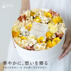 �h���C�t�����[ �v���U�[�u�h�t�����[ �M�t�g �A�����W �{�b�N�X �傫�� �����j�� �J�X�j�� �V�z�j�� �i�`������ ������� ����