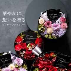 �h���C�t�����[ �v���U�[�u�h�t�����[ �M�t�g �A�����W  �{�b�N�X  �����j�� ������ �G���K���g ������� �J�X�j�� 