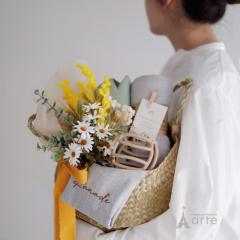 oYj MtgZbg oYMtg j̎q ̎q ނXgbJ[ ނP[L  Vv xr[ Mtg 
