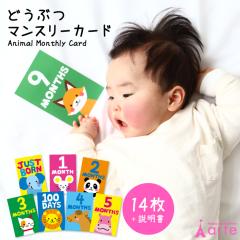 �}���X���[�J�[�h �Ԃ���� ���̎q �j�̎q ���� �t�H�g �ǂ��Ԃ� �o�Y�j�� ���킢�� �x�r�[ ����J�[�h �a���� �L�O�ʐ^