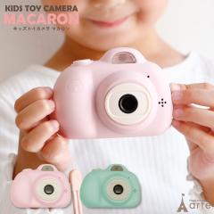 gCJ LbYJ RhJ J qp  v[g a NX}X 蕨 ̎q j̎q 