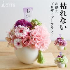������ �������  ���� ���� ���d�̂��� ���� �������� �������� �v���U�[�u�h�t�����[  ���~  ���ފ� �y�b�g�̂�����