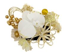 ������ �Z�b�g ���Ǝ� ���l�� ���� ���{�� �S�[���h ���� �� ������ �`���[�� �� �ԏ��� �a�� ���� �E�G�f�B���O �U�� �� �� �� �� �w�A