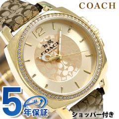 �R�[�` �{�[�C�t�����h �~�j �N�I�[�c ���f�B�[�X �r���v 14502509 COACH �S�[���h