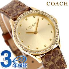 �R�[�` �A�X�^�[ �N�H�[�c �d�r�� �r���v �u�����h ���f�B�[�X COACH 14503218 �A�i���O �S�[���h �u���E�� ������� �h�� �y�� �ؚ� ��
