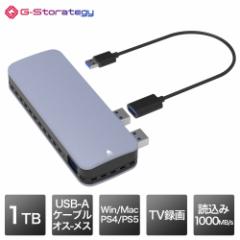 G-Storategy SSD Ot 1TB ^ |[^u PS5 PS4Ή mF RpNg y USB3.2Gen2 USB TypeA FFF NV33501EX-GY