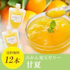 �ÉĊ��V�[���[ 150g�~12�{ 020315203201