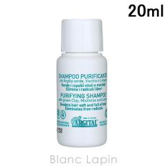 �y�~�j�T�C�Y�z �A���W�^�� ARGITAL �s�����t�@�C���O�V�����v�[ 20ml �w�A�P�A�~�j [868804] �y���[���։z