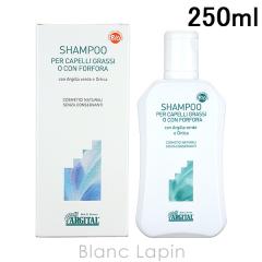 �A���W�^�� ARGITAL �X�L�����v�V�����v�[ 250ml [020093] 