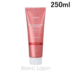 �N���_�� KUNDAL �v���e�C���{���f�B���O�_���[�W�P�A�g���[�g�����g ���U�[�A�C���X 250ml �w�A�g���[�g�����g [429768]