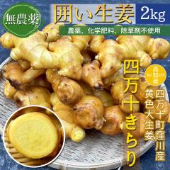 �y�E��Y���z ���_�� ���I 2kg �͐��I ���F �吶�I �l���\����� ���m�Y [���}�g����]�y�k�C�����ꌧ�������������z ���Y ���傤�� �l��