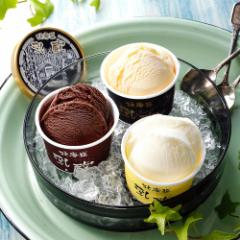 乳蔵 北海道アイスクリーム3種9個 4821-171 アイスクリーム アイス ギフト お中元 夏ギフト 暑中見舞い 贈り物 のし無料 お取り寄せ スイ