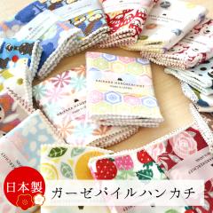 ���{�� �����Y �n���J�` �n���J�`�^�I�� �^�I���n���J�` �K�[�[ 25�~25cm �a�� ��100�� �z�� ���� �y�� ���킢�� ������� �K�[�[�n���J