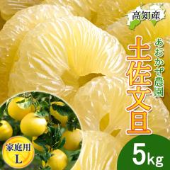 ���U �y�����U �ƒ�p L�T�C�Y 11�`13�� 5kg �h�ѕ��U �Y�� ���������_�� �h�� �Ԃ񂽂� �y�k�C�����ꌧ�������������z�h�юs �Y�n���� 