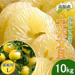 ���U �y�����U �ƒ�p L�T�C�Y 22�`26�� 10kg �h�ѕ��U �Y�� ���������_�� �h�� �Ԃ񂽂� �y�k�C�����ꌧ�������������z�h�юs �Y�n���� 