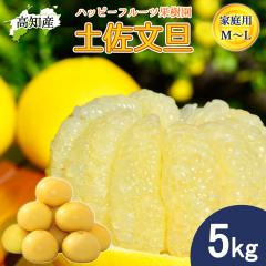 ���U �y�����U �ƒ�p 5kg M�`L�T�C�Y 10�`15�� �n�b�s�[�t���[�c�ʎ��� �h�� �Ԃ񂽂� �y�k�C�����ꌧ�������������z�h�юs �Y�n���� ��