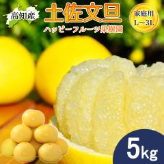 ���U �y�����U �ƒ�p 5kg L�`3L�T�C�Y 9�`11�� �n�b�s�[�t���[�c�ʎ��� �h�� �Ԃ񂽂� �y�k�C�����ꌧ�������������z�h�юs �Y�n���� ��