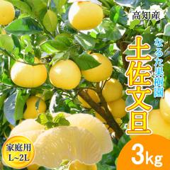 ���U �y�����U �ƒ�p 3kg L�`2L�T�C�Y 6�`7�� �Ȃ邽�ʎ��� �h�� �Ԃ񂽂� �y�k�C�����ꌧ�������������z�h�юs �Y�n���� ���m�Y 3�L�� 