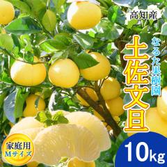 ���U �y�����U �ƒ�p 10kg �� M�T�C�Y 27�`32�� �Ȃ邽�ʎ��� �h�� �Ԃ񂽂� �y�k�C�����ꌧ�������������z�h�юs �Y�n���� ���m�Y 10�L