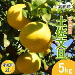 ���U �y�����U �ƒ�p 2L�T�C�Y 10�`11�� 5kg �h�ѕ��U �Y�� �����_�� �h�� �Ԃ񂽂� �y�k�C�����ꌧ�������������z�h�юs �Y�n���� ���m