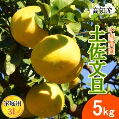 ���U �y�����U �ƒ�p 3L�T�C�Y 8�`9�� 5kg �h�ѕ��U �Y�� �����_�� �h�� �Ԃ񂽂� �y�k�C�����ꌧ�������������z�h�юs �Y�n���� ���m�Y