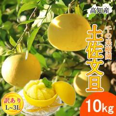 ���U �y�����U �ƒ�p �󂠂� L�`3L ���� 17�`22�� 10kg �h�ѕ��U �Y�� ��̉ʎ��� �h�� �Ԃ񂽂� �y�k�C�����ꌧ�������������z�h�юs 