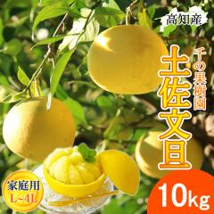 ���U �y�����U �ƒ�p L�`4L ���� 17�`22�� 10kg �h�ѕ��U �Y�� ��̉ʎ��� �h�� �Ԃ񂽂� �y�k�C�����ꌧ�������������z�h�юs �Y�n����