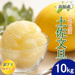 ���U �y�����U �ƒ�p�󂠂� �� M�T�C�Y 28�`32�� 10kg  �Y�� ����_�� �h�� �Ԃ񂽂� �h�юs �y�k�C�����ꌧ�������������z�Y�n���� ��