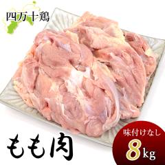 �l���\�{ ������ 8kg ���Ȃ� �{������ 8�L�� �{�� �Ƃ�� ���� �� �l���\�� ���Y ���܂�� ���m�Y �{������ �������� �������� ������ ��