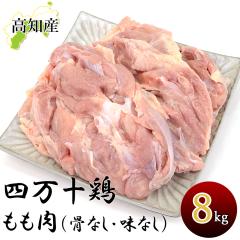 �l���\�{ ������ 8kg ���Ȃ� �{������ 8�L�� �{�� �Ƃ�� ���� �� �l���\�� ���Y ���܂�� ���m�Y �{������ �������� �������� ������ ��