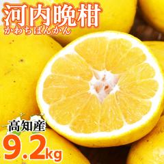 �͓��΂񂩂� ���m���Y �h�� ���Y �͓��ӊ� 9.2kg L�`4L �T�C�Y�s���� �ƒ�p ������ �y�k�C�����ꌧ�������������z ���Y�_�ƒ��� �ĕ��U