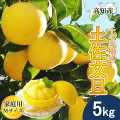 ���U �y�����U �ƒ�p �� M�T�C�Y 14�`16�� 5kg �h�ѕ��U �Y�� ��̉ʎ��� �h�� �Ԃ񂽂� �y�k�C�����ꌧ�������������z�h�юs �Y�n���� 