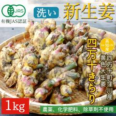 �y�E��Y���z �V���I �L�@JAS �� ���_�� ���I 1kg ���F �吶�I �l���\����� �L�@�͔| �L�@���I [�`���h��] [���}�g����]�y�k�C������