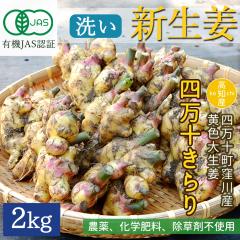 �y�E��Y���z �V���I �L�@JAS �� ���_�� ���I 2kg ���F �吶�I �l���\����� �L�@�͔| �L�@���I [�`���h��] [���}�g����]�y�k�C������