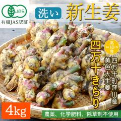 �y�E��Y���z �V���I �L�@JAS �� ���_�� ���I 4kg ���F �吶�I �l���\����� �L�@�͔| �L�@���I [�`���h��] [���}�g����]�y�k�C������