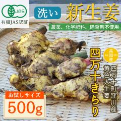 �y�E��Y���z �V���I �L�@JAS �� ���_�� ���I 500g ���F �吶�I �l���\����� �L�@�͔| �L�@���I [�`���h��] [���}�g����]�y�k�C������